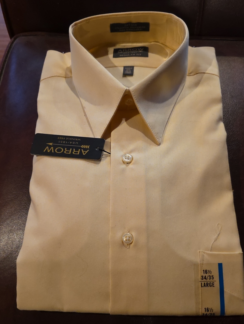 Arrow Men's Dress Shirt in Pale Yellow